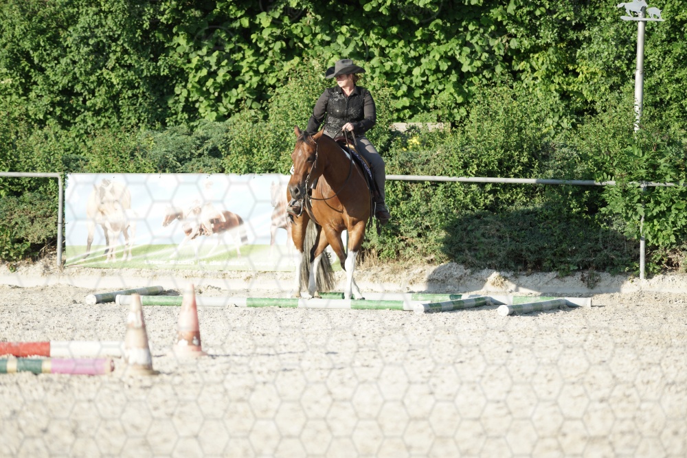 s_APF07288.jpg